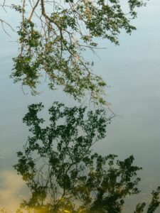 只是一场经历